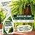 Fertilizante para Samambaias Spray Foliar Crescimento e Coloração 500ml - Imagem 3