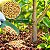 Adubo Osmocote Micronutrientes Fertilizante Mineral Misto para Plantas Flores 150g - Imagem 5