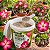 Fertilizante Rosa do Deserto Nutrientes Vasos e Solo Potencializa Floração 400g - Imagem 2
