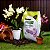 Solo Substrato Terra Especial p/ Orquídeas em Vasos Pronto Uso Forth Jardim 1kg - Imagem 2