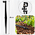 Kit 50 und Microaspersor SD 120 LPH Microtubo + Haste + AD3 - Imagem 6
