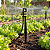 Kit 50 und Microaspersor SD 30 LPH Microtubo + Haste + AD3 - Imagem 3