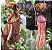 Nepenthes Rafflesiana Gigantea X [(Viking x Hookeriana) x Gracilis] - Planta Carnívora - Imagem 1