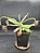 Nepenthes Ampullaria Red Striped X Ampullaria Black Miracle - Planta Carnívora - Imagem 4