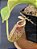 Nepenthes [(Maxima x Boschiana) x Veitchii] x lvbvmv - Planta Carnívora - Imagem 1