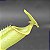 Nepenthes Bicalcarata - Imagem 1
