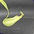 Nepenthes Bicalcarata - Imagem 4