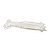 Isca Monster 3X Camarão Baby Soft 6cm - Imagem 3