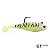 Isca Storm Wild EYE Swim Shad 8cm 10g - Imagem 2