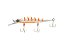 Isca Nitro Fishing Fênix 98 SP - Imagem 1