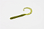 Isca Zoom Curly Tail Worm 4'' - Imagem 4