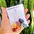Kit 7 Pedras dos Crakras Cristais de Bolso - Imagem 1
