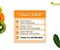 Kit Sabonete + Tônico Limpeza e Tonificação Vitamina C e Acnederm Payot - Imagem 2