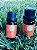 Óleo Essencial de GRAPEFRUIT – 10ml - Imagem 3