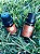 Kit Relax (4 óleos essenciais) Limão Siciliano, Tangerina, Laranja Doce e Eucalipto - 10ml - Imagem 4