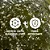 Coenzima Q10 + Matcha Guday 60 gomas - Imagem 4
