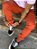 Calça Jogger Ferrugem Masculina Alleppo Jeans - Imagem 4