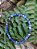 Pulseira de SODALITA bolinha 6mm- Clareza Mental, Direcionamento, Sabedoria - Imagem 2