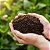 Terra Vegetal 2kg - Imagem 2