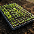 Bandeja Sementeira 200 Células Fina Para Muda Germinação e Sementes F 08 Nutriplan - Imagem 2