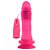 Pênis Vibrador Controle Externo 16 X 4cm Hot Flowers - Imagem 10