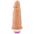 Prótese Vibrador Interno 15 X 4,5cm Sexy Fantasy - Imagem 1