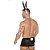 Fantasia Masculina Coelhinho Pimenta Sexy - Imagem 2