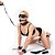 Kit Sado Erótico Bandage Sexy Import - Imagem 2