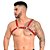 Arreio Harness Sensual Isaac êxtase - Imagem 2