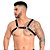 Arreio Harness Sensual Isaac êxtase - Imagem 3