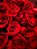 BUQUÊ DE ROSAS ÁGUA AROMÁTICA - Imagem 2