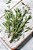 ALECRIM BLANC HOME SPRAY 250ML - Imagem 2