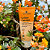 Gel Aloe Curcuma 100 g _ Livealoe - Imagem 1