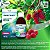 NAC Acetilizy Acetilcisteína40mg/ml Sabor Framboesa 120ml Vitalizy - Imagem 4