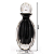 Garrafa Elixir Mini em Cristal Murano - São Marcos - Imagem 7