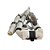 Cortina Airbag L/e Ford Focus 2.0 2014 a 2018 1b62916 - Imagem 1