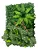 Placa Jardim Vertical Buxinho Com Flor 01 40 x 60cm - Imagem 1