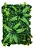 Placa Jardim Vertical Buxinho Com Flor 02 40x60cm - Imagem 1