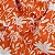 Tecido Para  Área Externa Acqua Summer 517 Coqueiro Coral Cru - Imagem 2