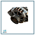 Alternador Do Hb20 1.6 2009 Em Diante 373002b101 90 Amp - Imagem 3