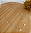 Colar Chocker Rabo de Baleia placa - Prata 925 - Imagem 4