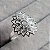 Anel Mandala Flora - Prata 925 - Imagem 1