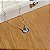 Colar Borboleta Laser - Prata 925 - Imagem 3