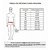 Funda Cinta Elástica Para Hérnia Inguinal Dupla - Ortocenter - Imagem 4
