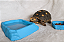 Kit Comedouro e Bebedouro pequeno para Répteis - Cor Azul - Imagem 2