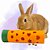 Tubo Interativo para Coelhos e Porquinho da Índia - Imagem 1
