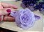 Faixa Sonho de Flor - Imagem 1
