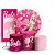 KIT Redondo Trio e Faixa - Barbie - Sublimado 3D - Imagem 1