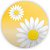 Painel Redondo - Flor Margarida - Sublimado 3D - Imagem 1