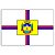 Painel Retangular - Bandeira de Apucarana - Sublimado 3D - Imagem 1